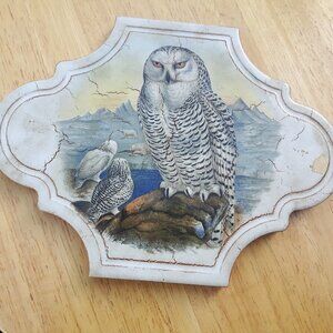 Snowy Owl Trivet Made in Italy